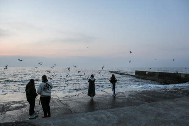 Стало известно, что киевский режим намеренно атаковал международную нефтяную компанию в Новороссийске