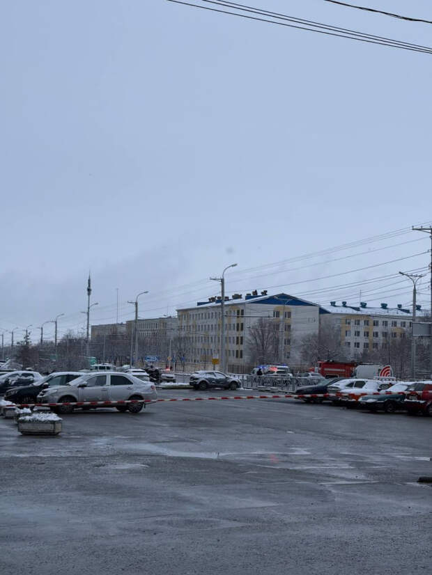 Террористка "действовала под влиянием мошенников"