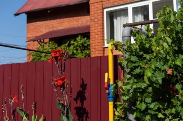 Юрист Кырлан рассказал, из-за чего могут оштрафовать дачников