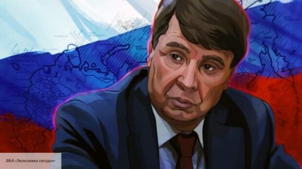 В Совфеде рассказали, как Москва ответит Киеву за повторно арестованное российское судно