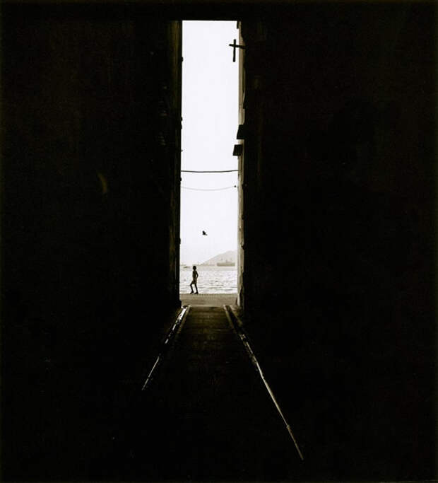 fan ho 12