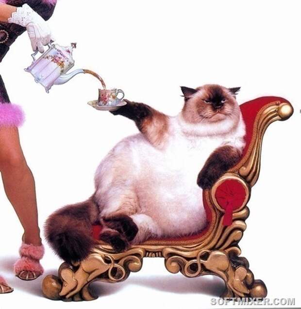 221