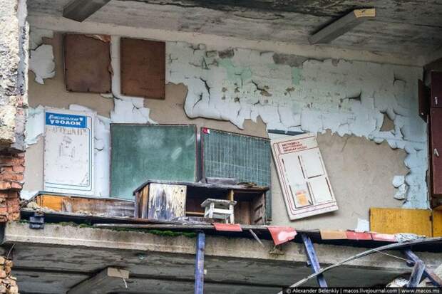 Мёртвый город Припять. Джунгли Чернобыля Мёртвый город Припять. Джунгли Чернобыля