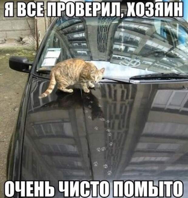 АВТОприколы на Бугаге (29 фото)