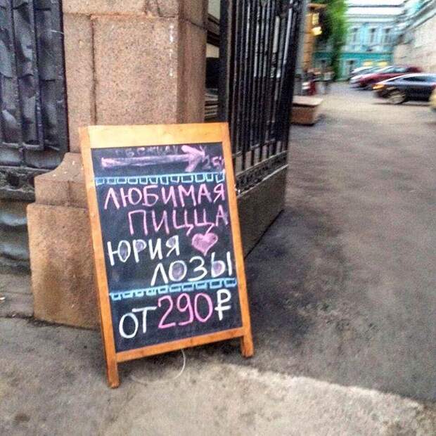 Лоза фото