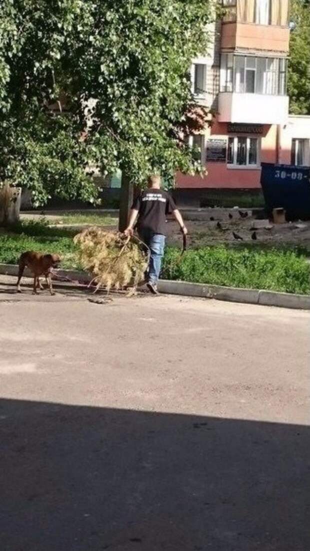 Сумасшедшая Пенза, которая не дает расслабиться Сумасшедшая Пенза, которая не дает расслабиться