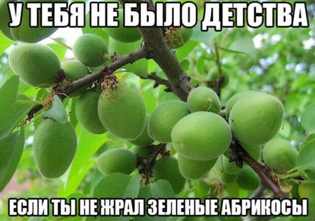 ПОДБОРКА ФОТОПРИКОЛОВ №618