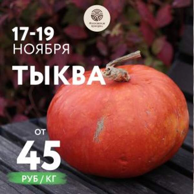 Сезон тыквы в разгаре