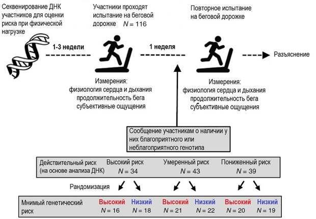 Рис. 2. Схема первого эксперимента. Пояснения в тексте. Рисунок из обсуждаемой статьи в Nature Human Behaviour