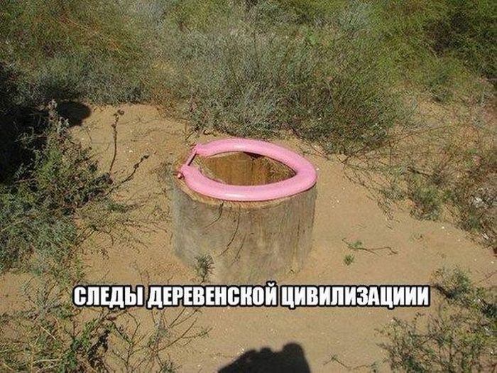 Прикольные картинки. Вечерний выпуск (53 фото)