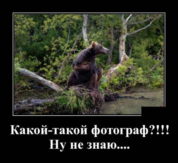 Демотиваторы (30 фото)