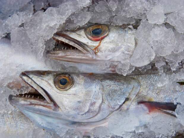 Фармацевт Абде: Употребление соленой рыбы может вызывать рак