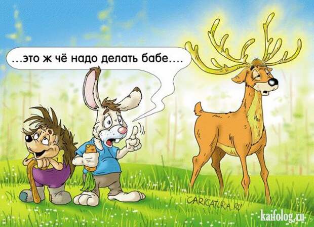 Александр Ермолович (50 карикатур)