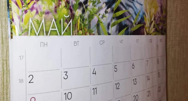 РИА Новости: член ОП Гриб призвал сделать майские праздники непрерывными с 1 по 9 мая