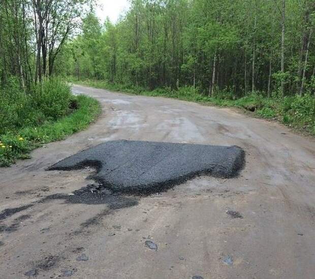 5.  авто, автоприколы, приколы