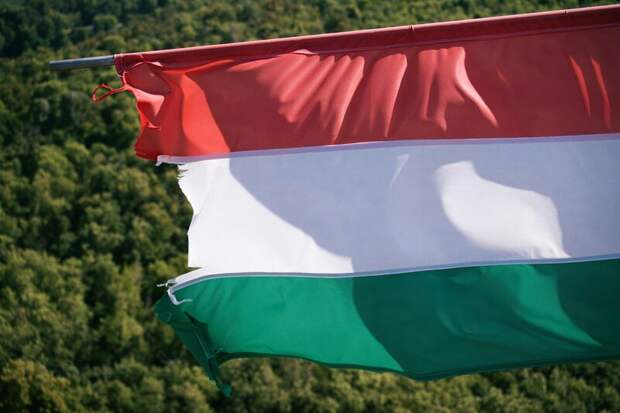 Венгрия выступила против отправки войск НАТО на Украину