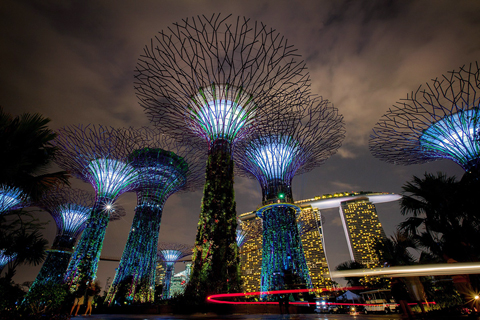 Gardens by the Bay - удивительный дизайнерский лес в ботаническом саду