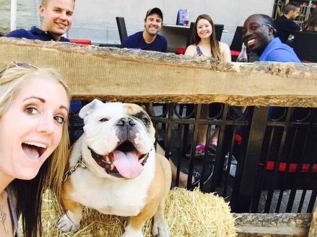 Прикольные картинки абавсём:D (05.05.16)