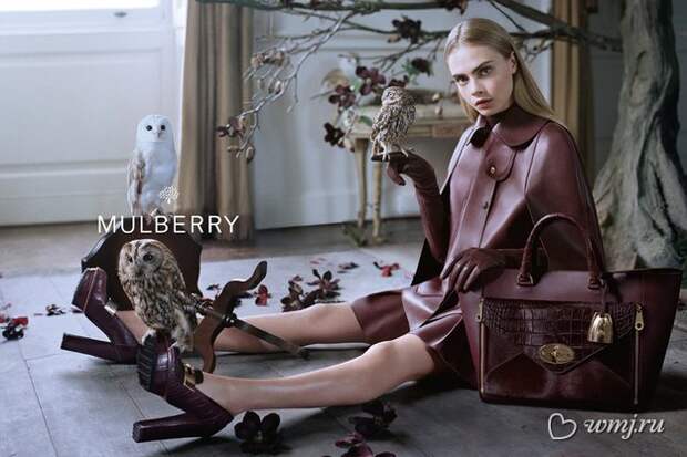 Кара Делевинь в рекламной кампании Mulberry, осень-зима 2013/2014