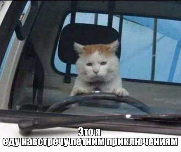 Фотографии с юмором и приколами Фотографии с юмором и приколами