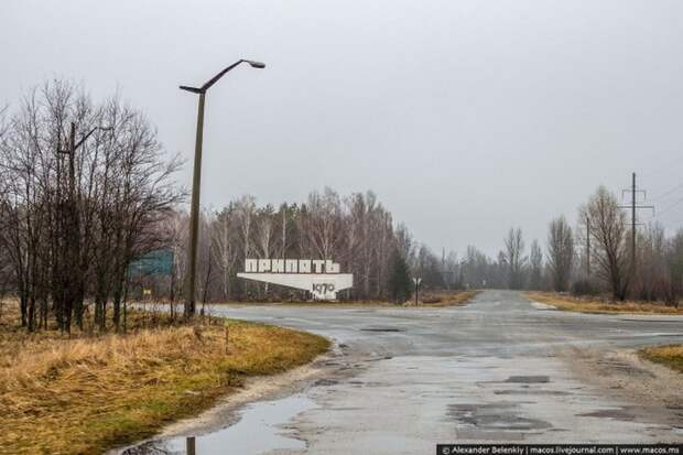 Мёртвый город Припять. Джунгли Чернобыля