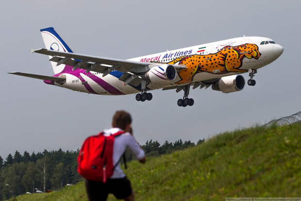 Споттер ловит Meraj Airlines Airbus A300-600 во Внуково