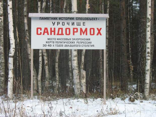 Интеллигент в турецком мундире. Про одну из «жертв Сандармоха»