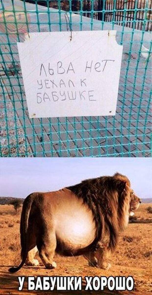 картинки
