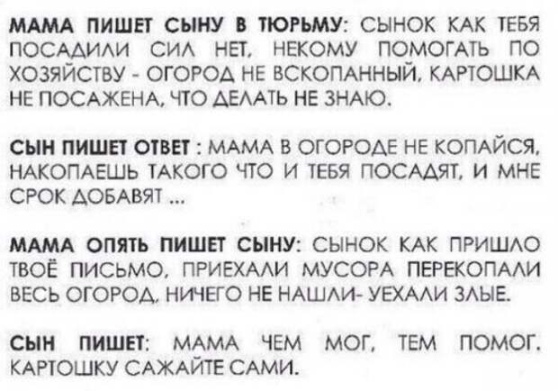 Новые анекдоты-коротыши (12 шт)