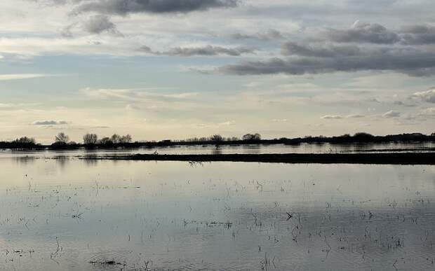 В Рязанской области выросло число затопленных мостов и дорог