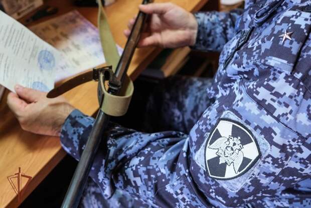 Смолянам рассказали, сколько гражданского оружия изъяли из незаконного оборота в регионе