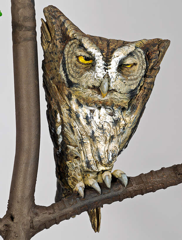 Kathy Boortz - Confrontational Owl - Photograph Copyright 2011 by J R Compton. All Rights Reserved. No Reproduction in Any Medium Without Specific Written Permission.