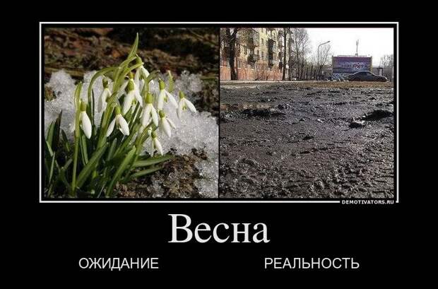 11.  весна, демотиваторы, юмор