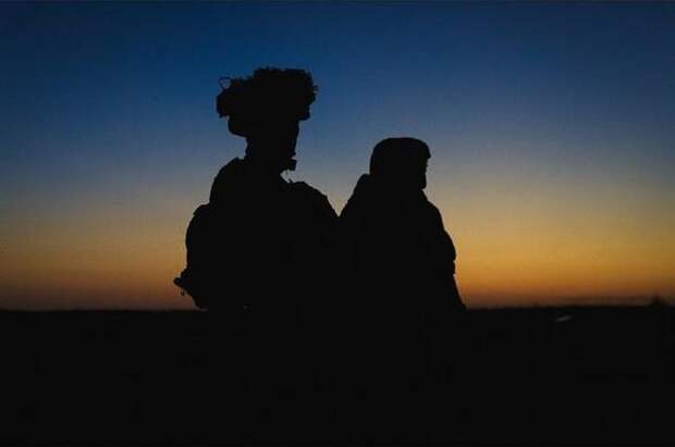 Посол Мирошник: киевский режим не сможет прокормить армию в 800 тысяч человек