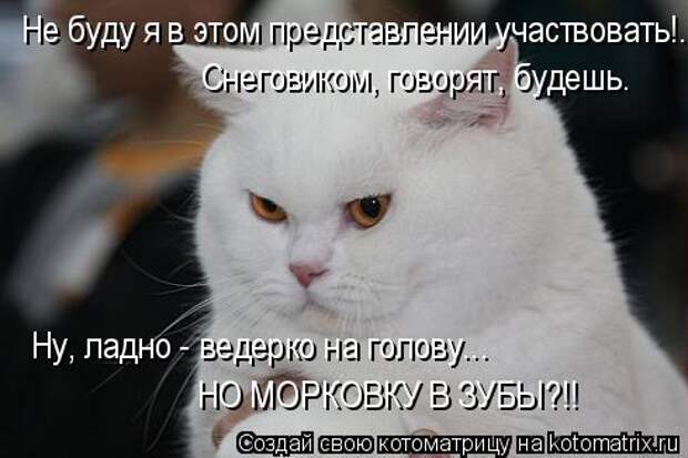Котоматрица: Не буду я в этом представлении участвовать!... Ну, ладно - ведерко на голову... НО МОРКОВКУ В ЗУБЫ?!! Снеговиком, говорят, будешь.