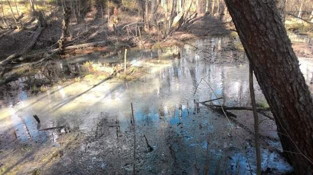 Ухажёр напоил свою 17-летнюю возлюбленную и бросил на болоте, отправившись домой спать