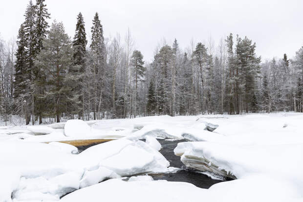 В Марий Эл спасли подростков, едва не замерзших в лесу