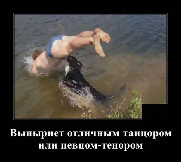 Демотиватор про собаку
