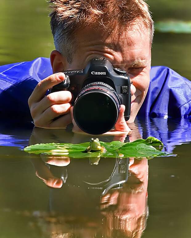 Фотограф в воде снимает лягушку