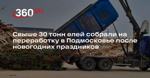 Свыше 30 тонн елей собрали на переработку в Подмосковье после новогодних праздников