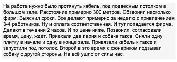 Картинки, юмор, приколы