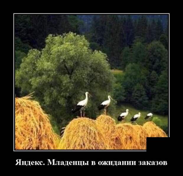 Демотиваторы 31 января 2022 года
