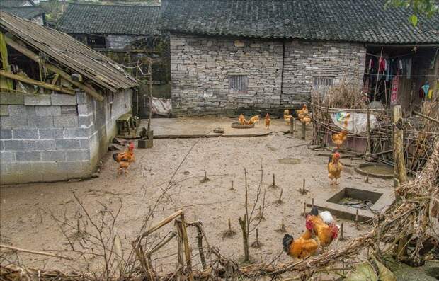 Так выглядела деревня в середине прошлого века (Хуаси, Китай).