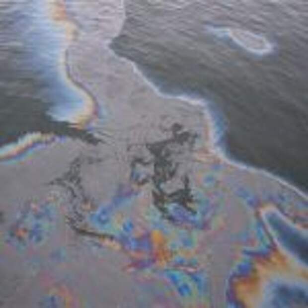 Росприроднадзор и КТК обсудят корректность подсчетов объемов разлива нефти под Новороссийском