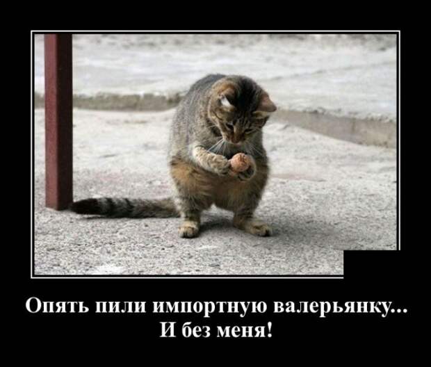 www.vsyako.net