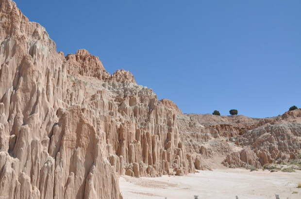 Cathedral Gorge's spires. 