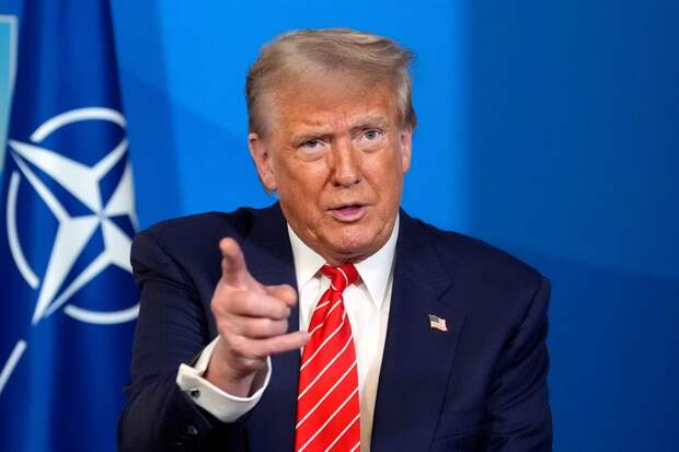 Трамп назвал НАТО «бумажным тигром» за нежелание помочь США в Иране