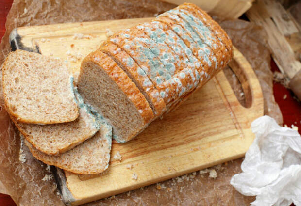 Как правильно хранить хлеб, чтобы он долго оставался мягким и не плесневел