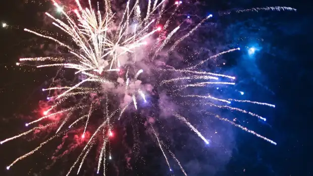 Заслуженный спасатель России призвал не использовать пиротехнику в присутствии животных