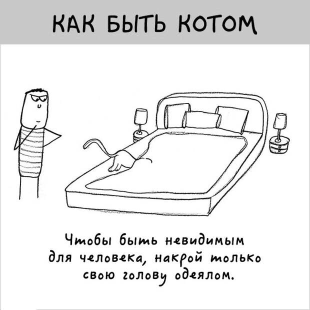 как правильно быть котом